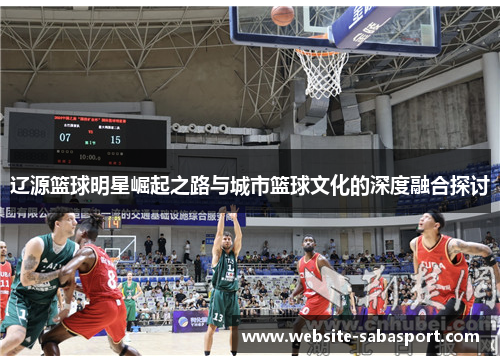 辽源篮球明星崛起之路与城市篮球文化的深度融合探讨